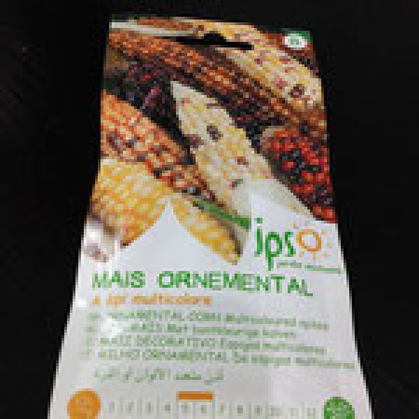 semences-cereales - semence-mais-ornemental - Jpso-semence mais ornemental - gsn-semences - Tinsal - Algérie