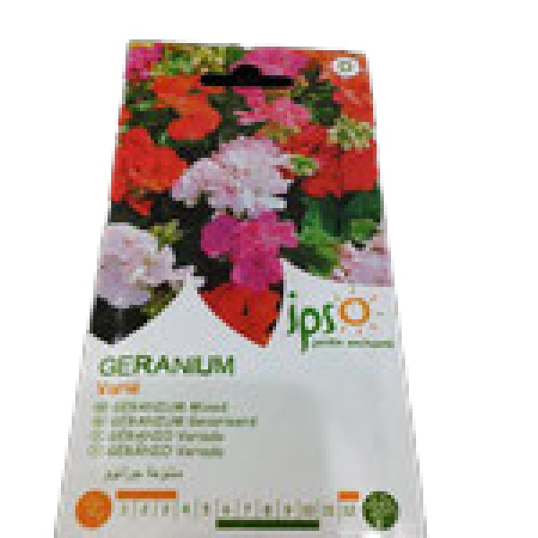 semences-florales - semence-geranium - Jpso-semence geranium - gsn-semences - Tinsal - Algérie